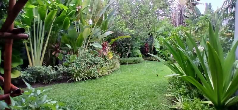 Detached 4 bedroom House with large garden and pool for rent, Bangkok, Khlong Tan Nua, Watthana, Bangkok, 4 Bedrooms, 400 sqm, Single Detached House For Rent, by Sittichai (Ice) Tulyanon, 60256756 - DDproperty.com