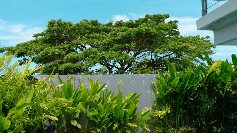 Riverhouse : ริเวอร์เฮ้าส์, ภูเก็ต, ซอยป่าสัก 1 ถนนบ้านดอน - เชิงทะเล, เชิงทะเล, ถลาง, ภูเก็ต, 209 ตร.ม., วิลล่า ขาย, โดย Wanida (May) Mahawong, 60256761 - DDproperty.com