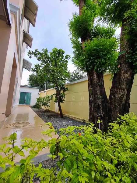 Urban Sathorn, Bangkok, Ratchaphruek Road, Bang Chak, Phasi Charoen, Bangkok, 4 Bedrooms, 300 sqm, Townhouse For Rent, by Sittichai (Ice) Tulyanon, 60257131 - DDproperty.com