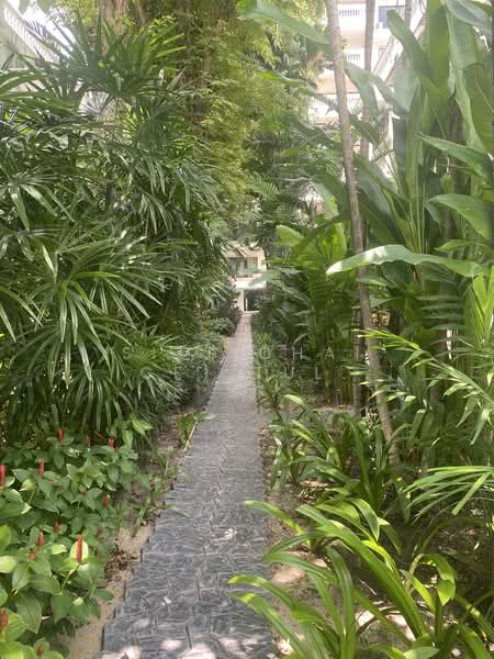 Prompak Gardens Condominium, Bangkok, Sukhumvit, Khlongtoei Nua, Watthana, Bangkok, 4 Bedrooms, 300 sqm, Townhouse For Rent, by Sittichai (Ice) Tulyanon, 60257135 - DDproperty.com