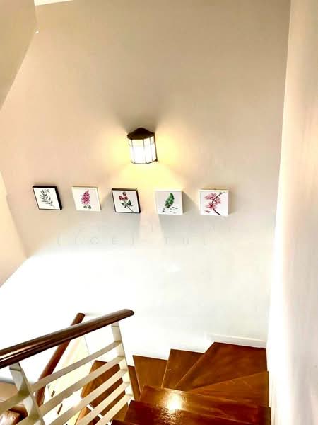 Baan Klang Muang Urbanion Srinakarin : บ้านกลางเมือง เออร์บาเนี่ยน ศรีนครินทร์, กรุงเทพ, ซอยศรีนครินทร์ 46, หนองบอน, ประเวศ, กรุงเทพ, 180 ตร.ม., บ้านเดี่ยว ให้เช่า, โดย Sittichai (Ice) Tulyanon, 60257341 - DDproperty.com