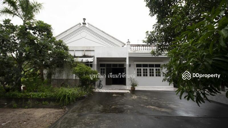 ขายที่ดิน 4 ไร่ พนัสนิคม พร้อมบ้านและสวนกล้วย ใกล้โลตัส ทำเลทอง Land for sale in Phanat Nikhom, 4 ra