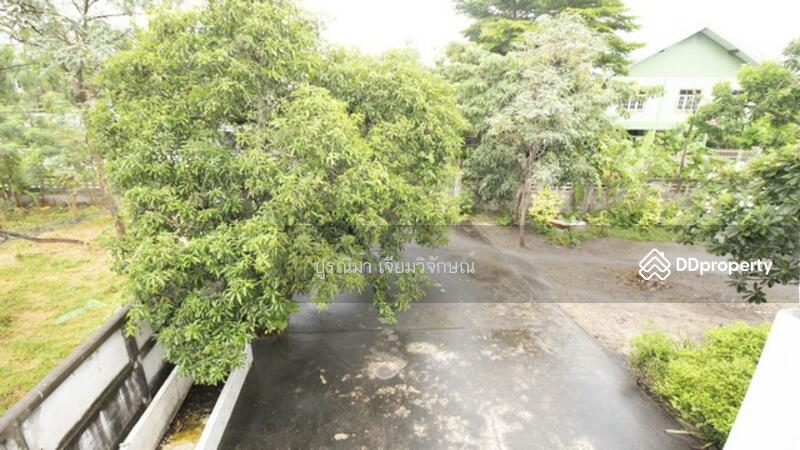ขายที่ดิน 4 ไร่ พนัสนิคม พร้อมบ้านและสวนกล้วย ใกล้โลตัส ทำเลทอง Land for sale in Phanat Nikhom, 4 ra