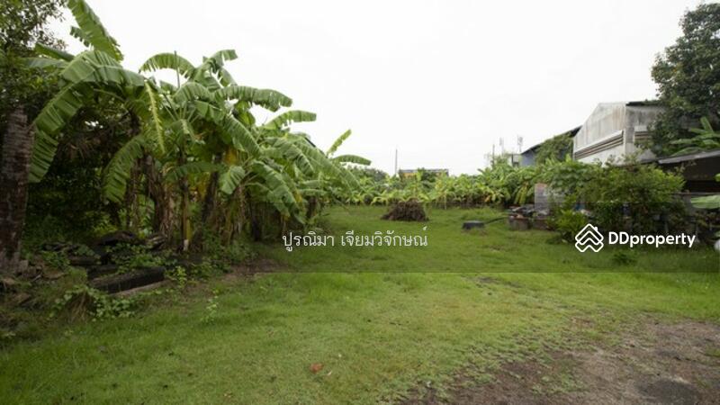 ขาย บ้าน 2 หลัง พร้อมที่ิิดิน พนัสนิคม ชลบุรี พทใหญ่ 4 ไร่ 15 ล้าน ถูก Land for sale in Phanat Nikho