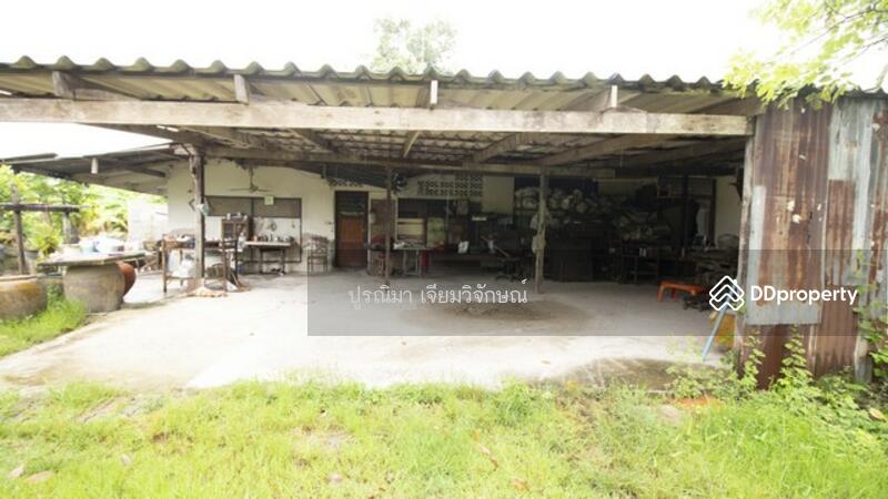 ขายที่ดิน 4 ไร่ พนัสนิคม พร้อมบ้านและสวนกล้วย ใกล้โลตัส ทำเลทอง Land for sale in Phanat Nikhom, 4 ra