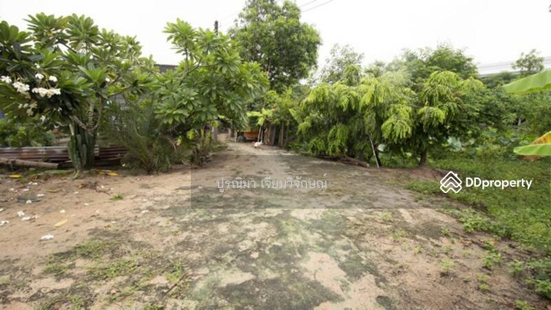 ขาย บ้าน 2 หลัง พร้อมที่ิิดิน พนัสนิคม ชลบุรี พทใหญ่ 4 ไร่ 15 ล้าน ถูก Land for sale in Phanat Nikho