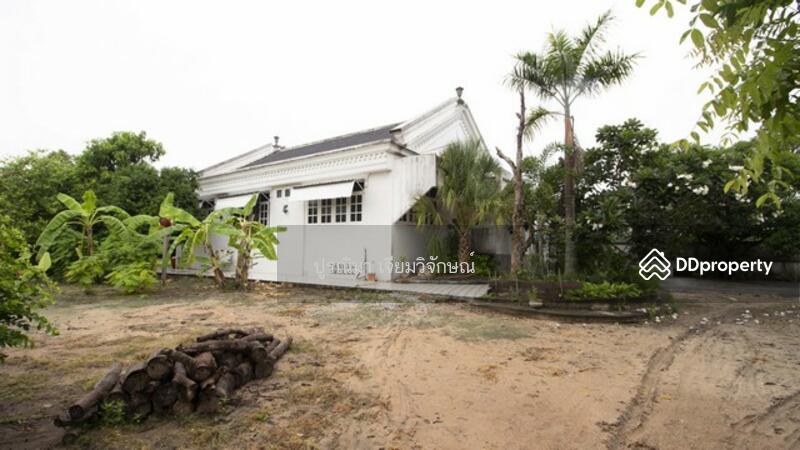 ขายที่ดิน 4 ไร่ พนัสนิคม พร้อมบ้านและสวนกล้วย ใกล้โลตัส ทำเลทอง Land for sale in Phanat Nikhom, 4 ra