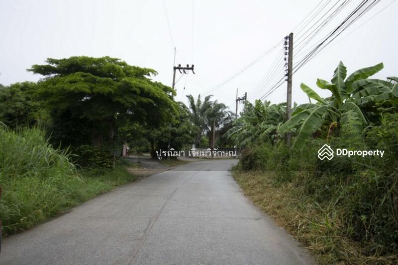 ขายที่ดิน 4 ไร่ พนัสนิคม พร้อมบ้านและสวนกล้วย ใกล้โลตัส ทำเลทอง Land for sale in Phanat Nikhom, 4 ra