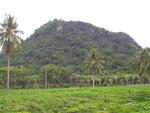 ก, ชลบุรี