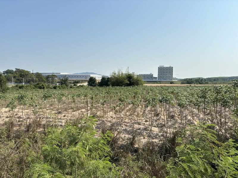 ที่ดินติดถนนสาย15 นิคมพัฒนา ระยอง, ระยอง, Pattananikon Line 15 Road, Soi 11, พนานิคม, นิคมพัฒนา, ระยอง, 77,456 ตร.ม., ที่ดิน ขาย, โดย Meechai Kunsan, 6096846 - DDproperty.com