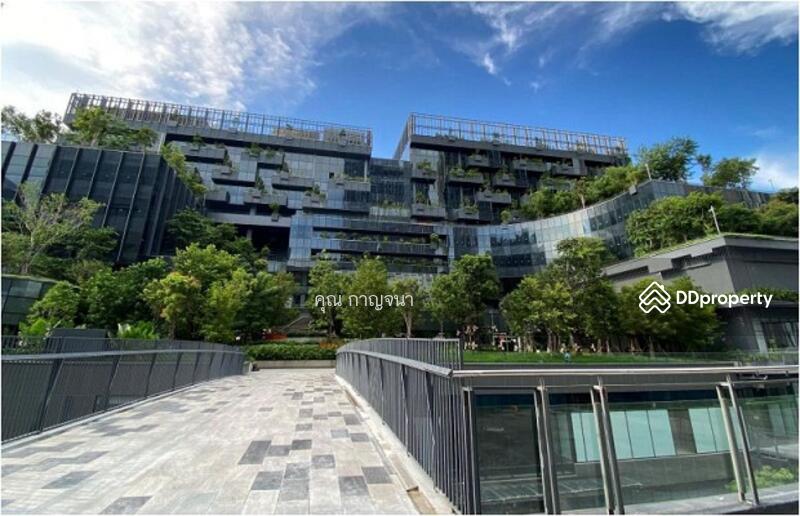 ออฟฟิศเพลินจิต สุขุมวิท พระโขนง ราคาเริ่ม 400 บ. ขนาด 10 ตรม.ขึ้นไป มีออฟฟิศตกแต่งพร้อมใช้, กรุงเทพ, สุขุมวิท, คลองตัน, คลองเตย, กรุงเทพ, 64 ตร.ม., สำนักงาน ให้เช่า, โดย คุณ กาญจนา, 6182877 - DDproperty.com