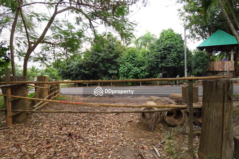 For Sale - ที่ดินเปล่า, Chiang Rai