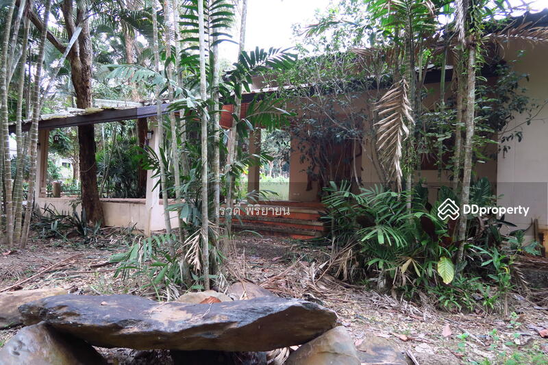 For Sale - ที่ดินเปล่า, Chiang Rai