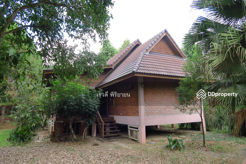 For Sale - ที่ดินเปล่า, Chiang Rai