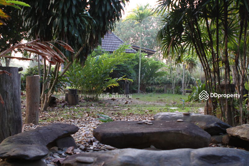 For Sale - ที่ดินเปล่า, Chiang Rai