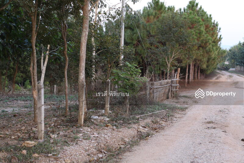 For Sale - ที่ดินเปล่า, Chiang Rai