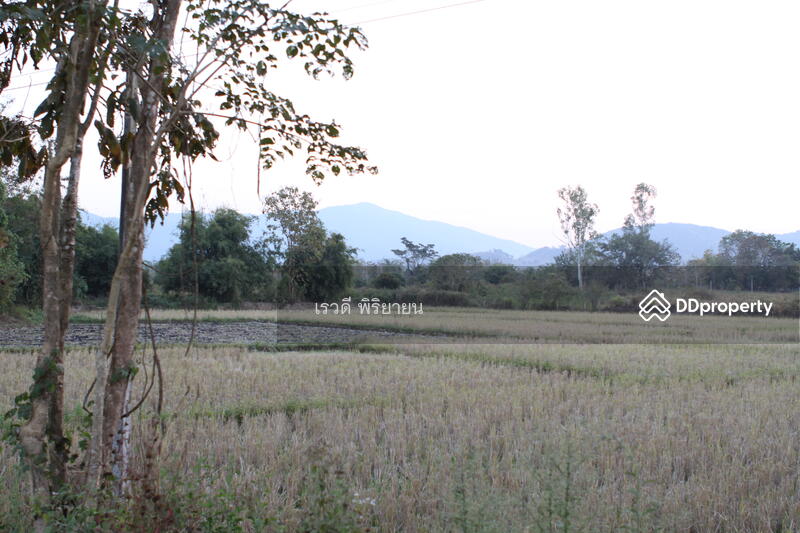 For Sale - ที่ดินเปล่า, Chiang Rai