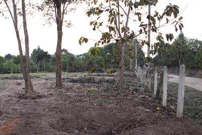 ขาย - ที่ดินเปล่า, เชียงราย
