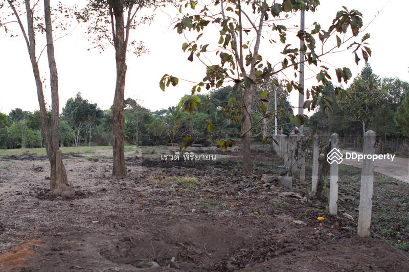 For Sale - ที่ดินเปล่า, Chiang Rai