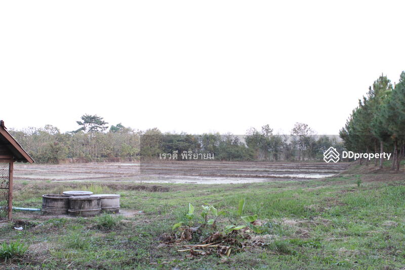 For Sale - ที่ดินเปล่า, Chiang Rai