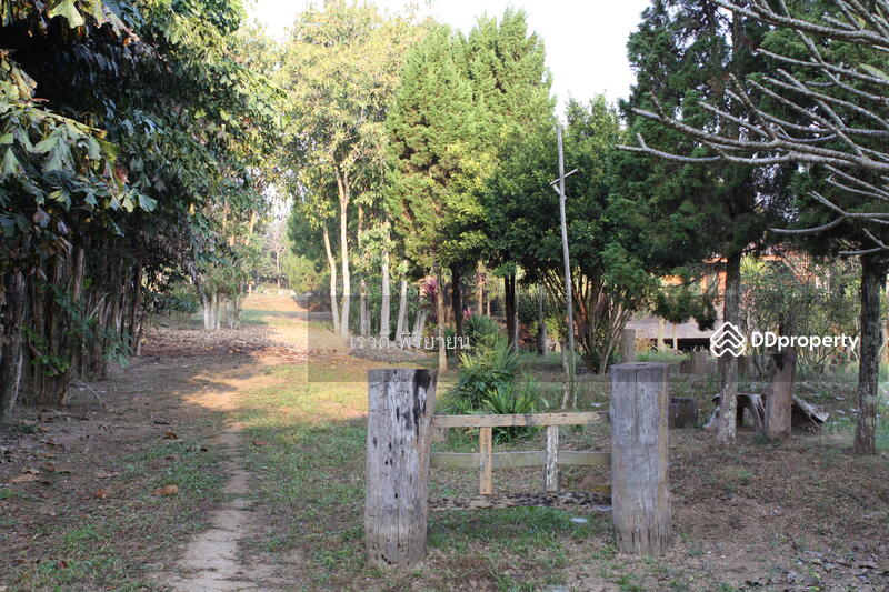 For Sale - ที่ดินเปล่า, Chiang Rai