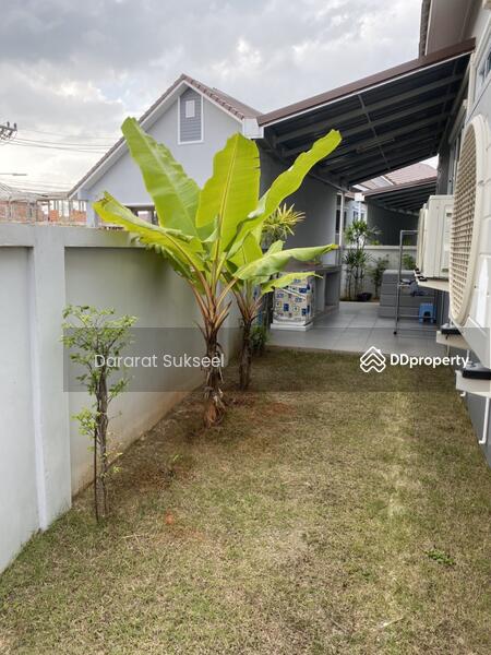 Beautiful Luxury Villa for rent in Surat Thani, Surat Thani, 88/133 Tambon Wat Pradu, Makham Tia, Muang Surat Thani, Surat Thani, 3 Bedrooms, 120 sqm, Single Detached House For Rent, by Jiranan Sukseel, 6345415 - DDproperty.com