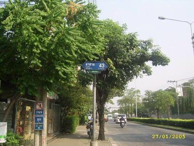 ขาย - ขายบ้านพร้อมที่ดิน ซอยลาซาล 43 และ ลาซาล 41 (ทะลุ 2 ซอย), กรุงเทพ