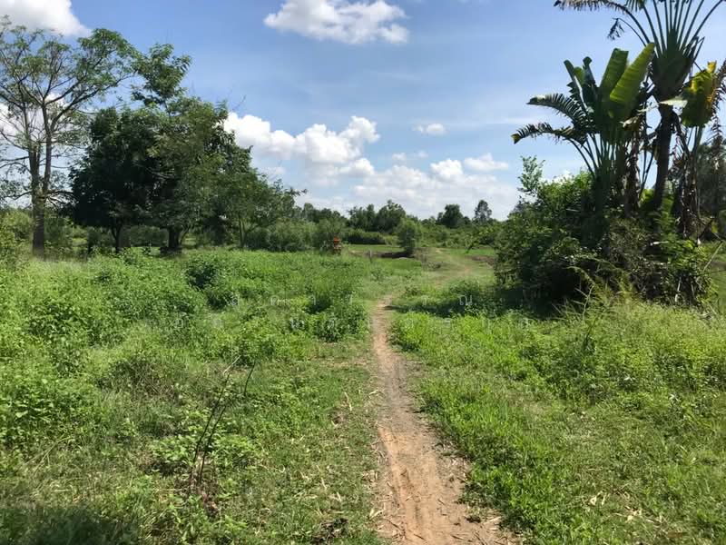 ที่ดิน 23 ไร่, บุรีรัมย์, ถนนโชคชัย-เดชอุดม, หนองโบสถ์, นางรอง, บุรีรัมย์, 37,590 ตร.ม., ที่ดิน ขาย, โดย สุดาวรรณ อัครนิรันดร์กุล, 6368198 - ขายที่ดินแปลงนี้ 23-2-22 ไร่ หนองโบสถ์ หลังศูนย์ซีเบิร์ด ติดฝายปอแดง บุรีรัมย์ 081-828-6549 - DDproperty.com