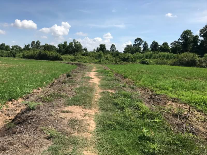 ที่ดิน 23 ไร่, บุรีรัมย์, ถนนโชคชัย-เดชอุดม, หนองโบสถ์, นางรอง, บุรีรัมย์, 37,590 ตร.ม., ที่ดิน ขาย, โดย สุดาวรรณ อัครนิรันดร์กุล, 6368198 - ขายที่ดินแปลงนี้ 23-2-22 ไร่ หนองโบสถ์ ติดฝายปอแดง บุรีรัมย์ 081-828-6549 - DDproperty.com