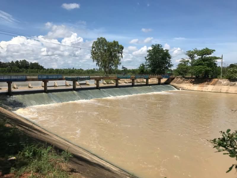 ที่ดิน 23 ไร่, บุรีรัมย์, ถนนโชคชัย-เดชอุดม, หนองโบสถ์, นางรอง, บุรีรัมย์, 37,590 ตร.ม., ที่ดิน ขาย, โดย สุดาวรรณ อัครนิรันดร์กุล, 6368198 - ขายที่ดินแปลงนี้ 23-2-22 ไร่ หนองโบสถ์ ติดฝายปอแดง บุรีรัมย์ 081-828-6549 - DDproperty.com