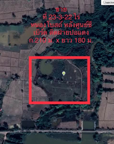 ที่ดิน 23 ไร่, Buri Ram, ถนนโชคชัย-เดชอุดม, Nong Bot, Nang Rong, Buri Ram, , 37,590 sqm, Land For Sale, by สุดาวรรณ อัครนิรันดร์กุล, 6368198 - ขายที่ดินแปลงนี้  23-2-22 ไร่   หนองโบสถ์ ติดฝายปอแดง บุรีรัมย์ 081-828-6549 - DDproperty.com