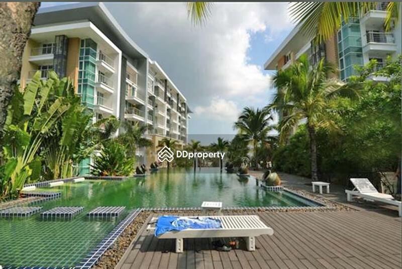 ให้เช่า - The Royal Place Condominium : เดอะ รอยัล เพลส คอนโดมิเนียม, ภูเก็ต