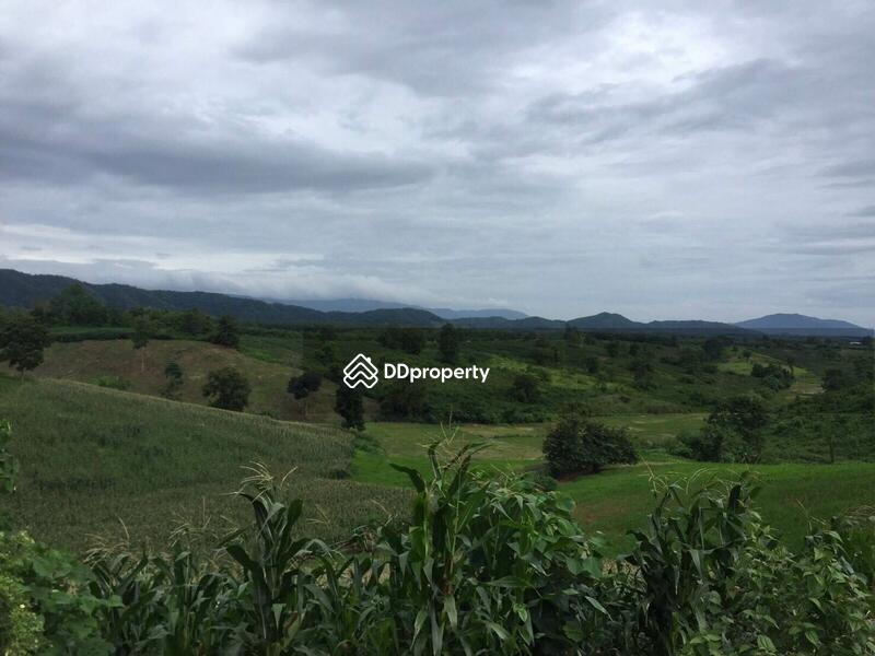 For Sale - ขายที่ดินเปล่า ต.ดงมหาวัน อ.เวียงเชียงรุ้ง จ.เชียงราย เนื้อที่100 ไร่, Chiang Rai