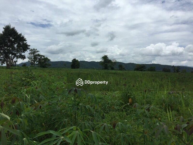 For Sale - ขายที่ดินเปล่า ต.ดงมหาวัน อ.เวียงเชียงรุ้ง จ.เชียงราย เนื้อที่100 ไร่, Chiang Rai