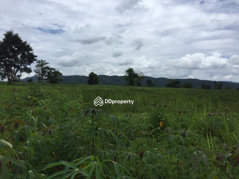 For Sale - ขายที่ดินเปล่า ต.ดงมหาวัน อ.เวียงเชียงรุ้ง จ.เชียงราย เนื้อที่100 ไร่, Chiang Rai