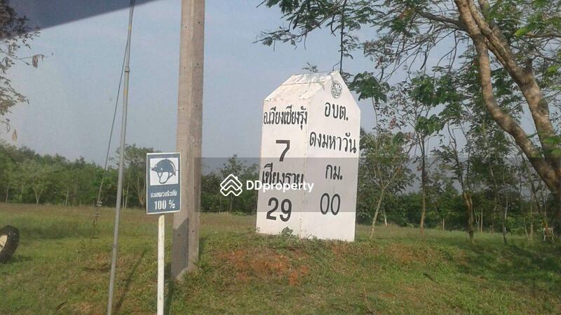 For Sale - ขายที่ดินเปล่า ต.ดงมหาวัน อ.เวียงเชียงรุ้ง จ.เชียงราย เนื้อที่100 ไร่, Chiang Rai