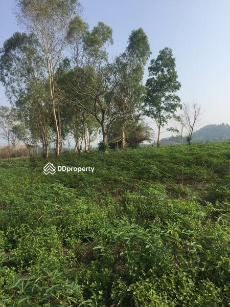 For Sale - ขายที่ดินเปล่า ต.ดงมหาวัน อ.เวียงเชียงรุ้ง จ.เชียงราย เนื้อที่100 ไร่, Chiang Rai