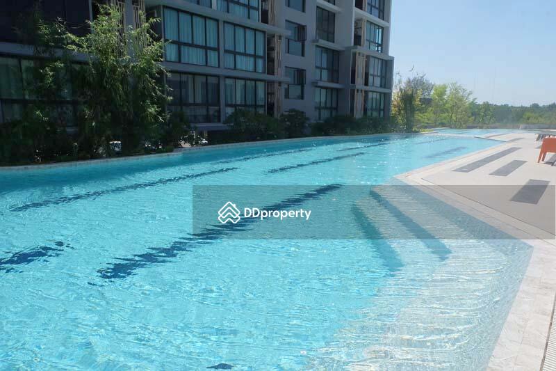 ขาย - Connext Condo : คอนเนค คอนโด, ภูเก็ต