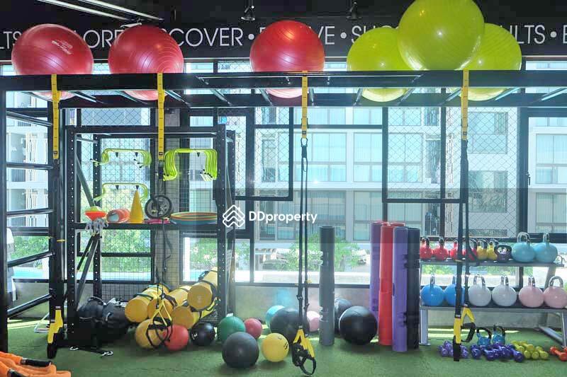 ขาย - Connext Condo : คอนเนค คอนโด, ภูเก็ต