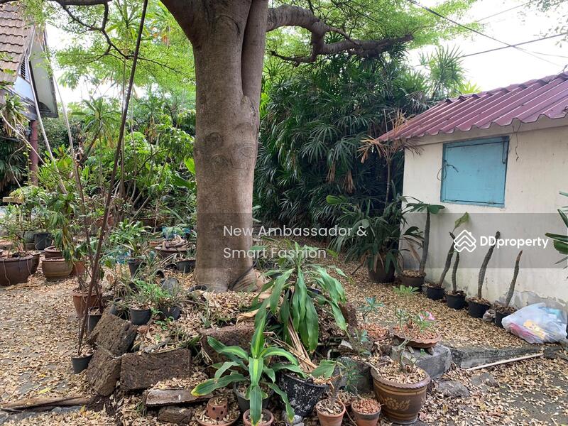 ให้เช่า - ขาย / เช่าบ้าน 2 ชั้น พร้อมที่ดิน สุขุมวิท ซอย 109 (สันติคาม ซ. 8), นครนายก