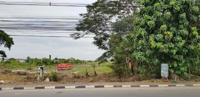 ขาย - ที่ดินเปล่าคลอง11 ติดถนนรังสิต-นครนายก, ปทุมธานี