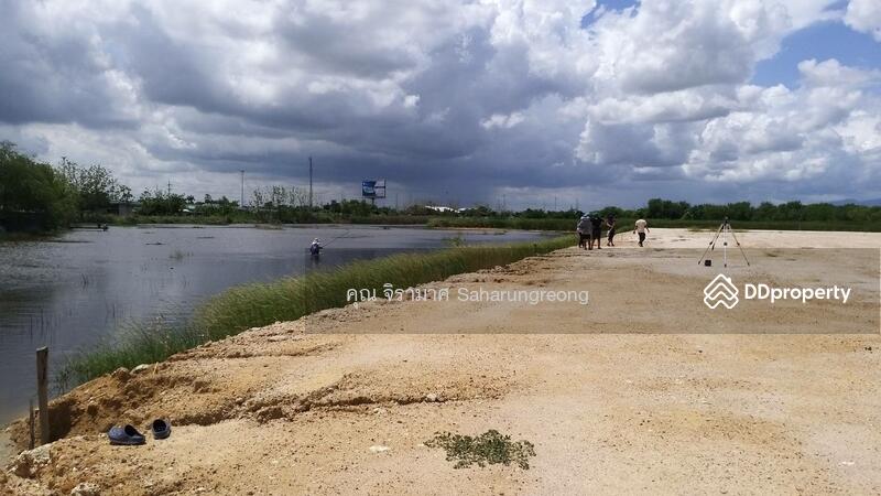 Land for rent Chonburi Province, Chon Buri (Pattaya), บางนางซอย 16 หมู่ 3, Bang Nang, Phan Thong, Chon Buri (Pattaya), , 1,600 sqm, Land For Rent, by คุณ จิรามาศ, 6455913 - DDproperty.com