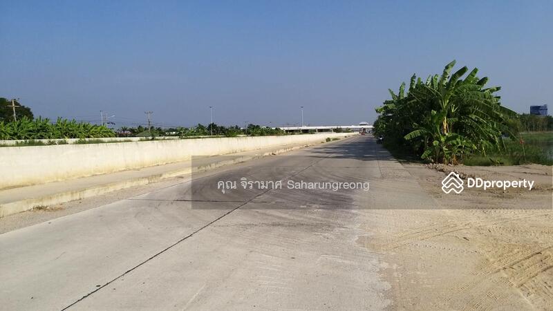 Land for rent Chonburi Province, Chon Buri (Pattaya), บางนางซอย 16 หมู่ 3, Bang Nang, Phan Thong, Chon Buri (Pattaya), , 1,600 sqm, Land For Rent, by คุณ จิรามาศ, 6455913 - DDproperty.com