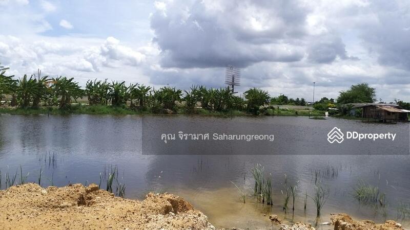 Land for rent Chonburi Province, Chon Buri (Pattaya), บางนางซอย 16 หมู่ 3, Bang Nang, Phan Thong, Chon Buri (Pattaya), , 1,600 sqm, Land For Rent, by คุณ จิรามาศ, 6455913 - DDproperty.com