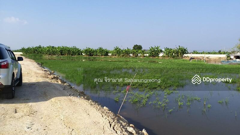 Land for rent Chonburi Province, Chon Buri (Pattaya), บางนางซอย 16 หมู่ 3, Bang Nang, Phan Thong, Chon Buri (Pattaya), , 1,600 sqm, Land For Rent, by คุณ จิรามาศ, 6455913 - DDproperty.com