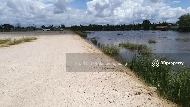 Land for rent Chonburi Province, Chon Buri (Pattaya), บางนางซอย 16 หมู่ 3, Bang Nang, Phan Thong, Chon Buri (Pattaya), , 1,600 sqm, Land For Rent, by คุณ จิรามาศ, 6455913 - DDproperty.com
