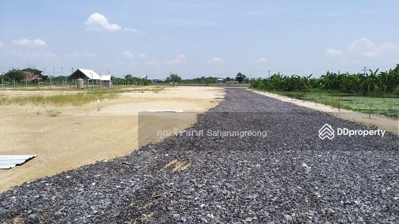 Land for rent Chonburi Province, Chon Buri (Pattaya), บางนางซอย 16 หมู่ 3, Bang Nang, Phan Thong, Chon Buri (Pattaya), , 1,600 sqm, Land For Rent, by คุณ จิรามาศ, 6455913 - DDproperty.com