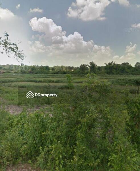 For Sale - Land for sale Near the Buddhist temple, Asoke Ubon Ratchathani Province Approximately 61 rai, Ubon Ratchathani