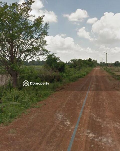 For Sale - Land for sale Near the Buddhist temple, Asoke Ubon Ratchathani Province Approximately 61 rai, Ubon Ratchathani