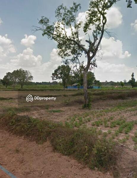 For Sale - Land for sale Near the Buddhist temple, Asoke Ubon Ratchathani Province Approximately 61 rai, Ubon Ratchathani